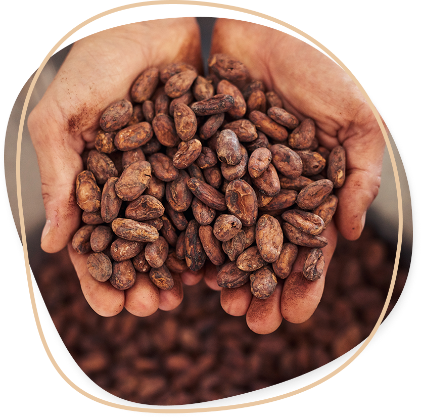 Council, Committees & Groups | FCC